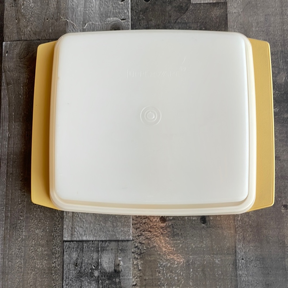 Vintage Tupperware, deviled egg carrier